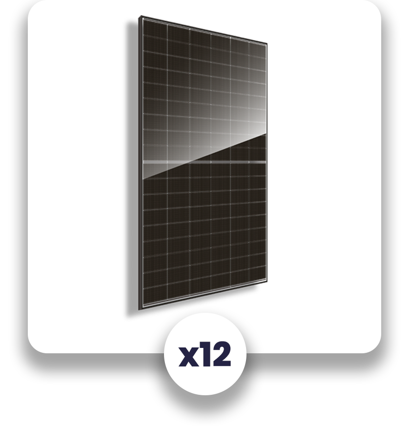 Panneau DAS Solar 500Wc x12